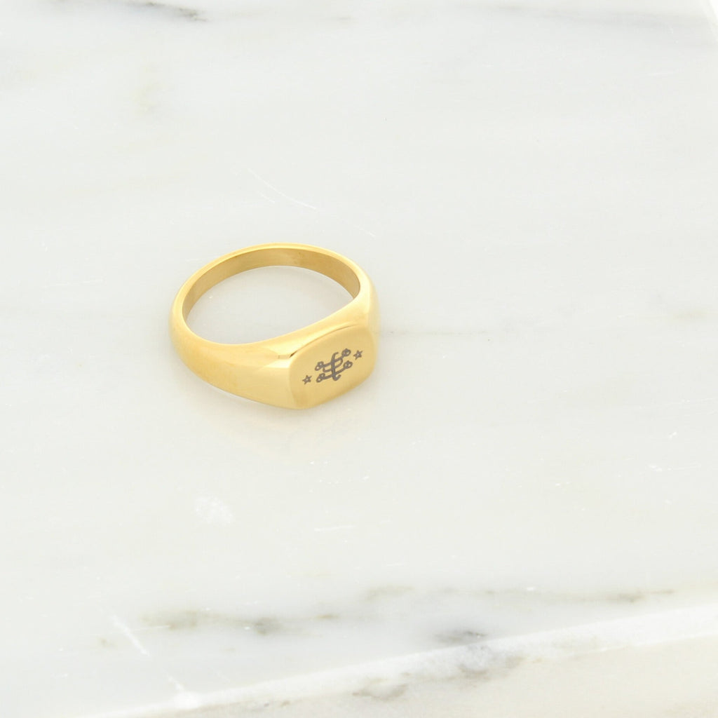 Bahai jewelry Maconi jewelry dignity signet ring ringstone symbol stainless steel gold_2